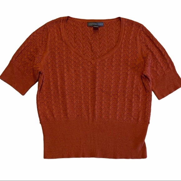 JOSEPHINE CHAUS V-Neck Short Sleeve Sweater